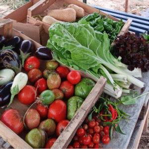 Verduras Frescas de la Huerta